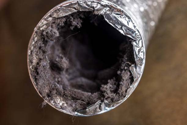 Best Local Air Duct Cleaning Services  in Chelan, WA
